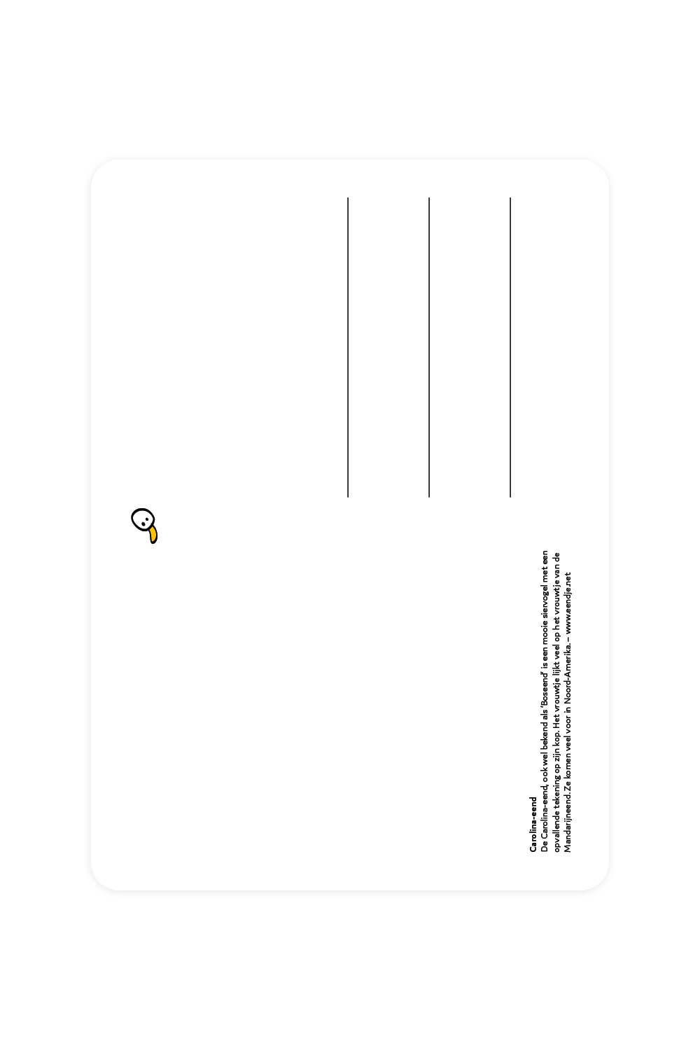 Carte postale Carolina Duck