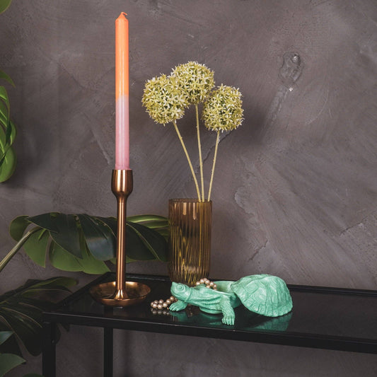 Boîte Tortue - Vert menthe