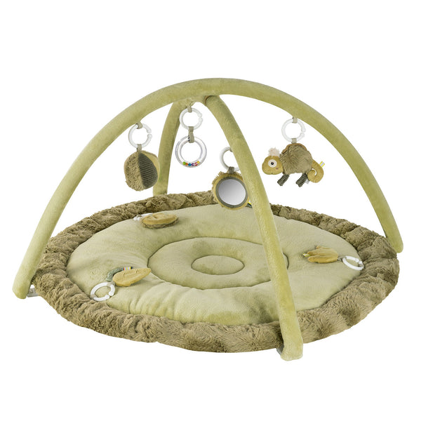 3-D Activity Blanket Chameleon