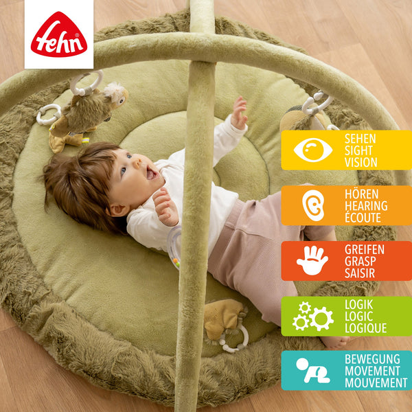 3-D Activity Blanket Chameleon