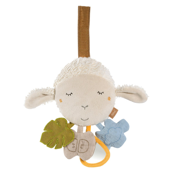 Activity Sheep