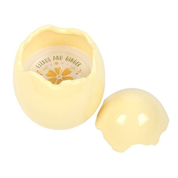 Citrus/ginger egg-shaped candle