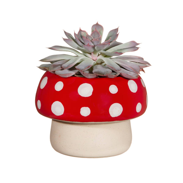Red Mushroom Pot Cover