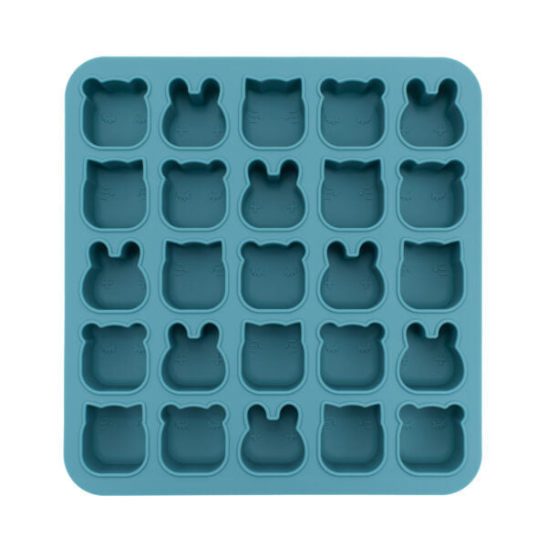 Duck blue mini-door mold