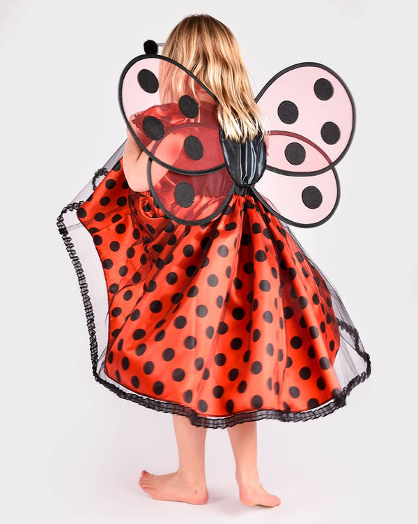 Ladybug Dress W. Acc. 110-116 Size 4-6 years