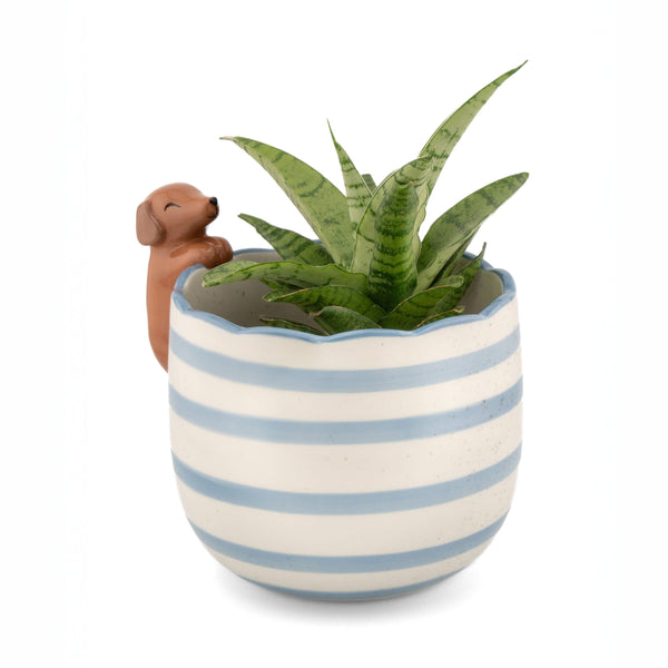 Playful Dachshund Planter
