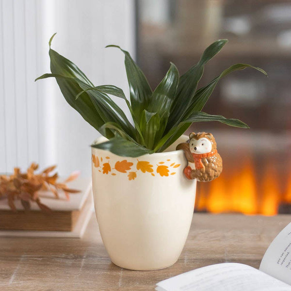 Autumn planter with hedgehog