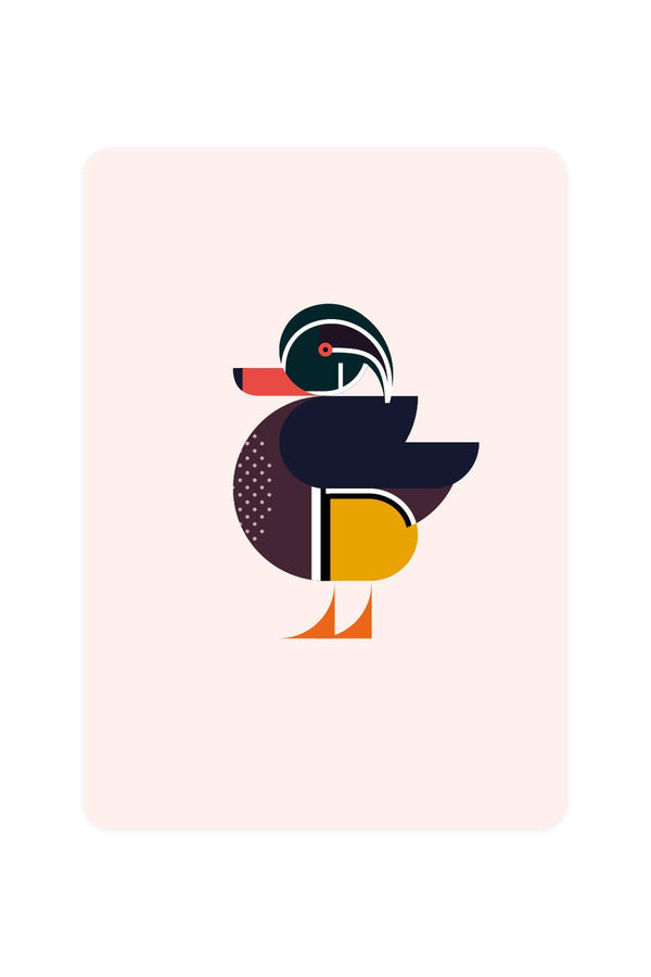Carolina Duck Postcard