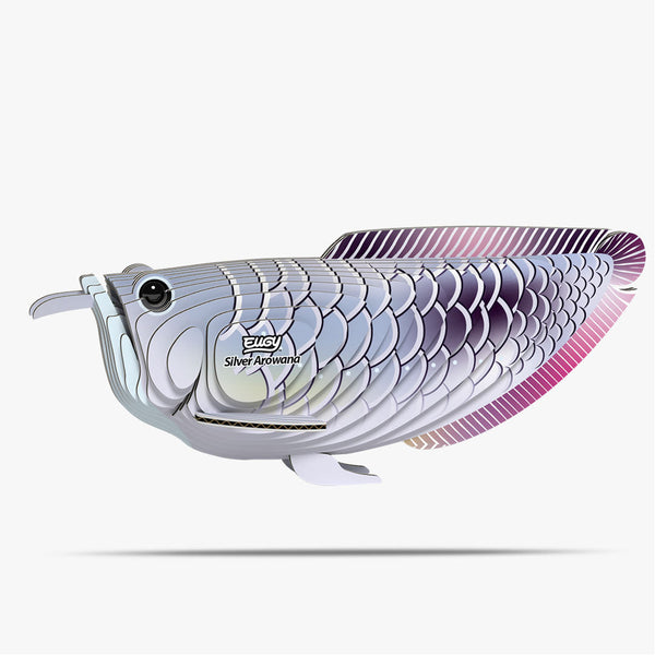 124 Silver Arowana