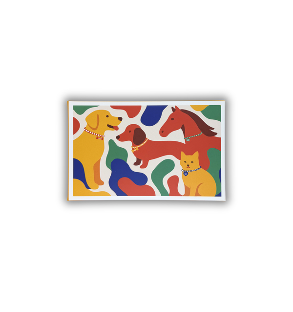 Boîte Cadeau « Animaux » – 2 Paires - Chulé
