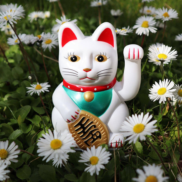 Lucky white cat 13cm