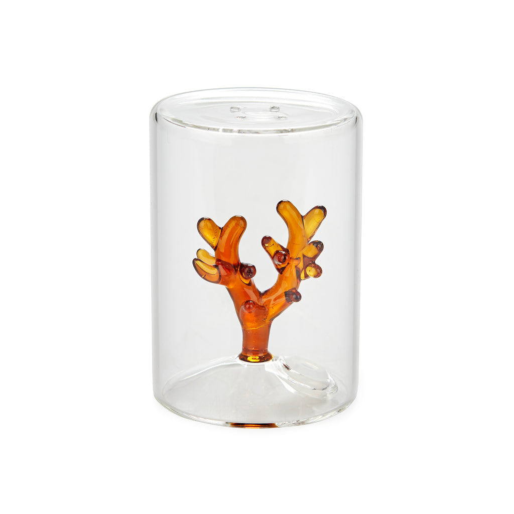 Salière Atlantis Coral