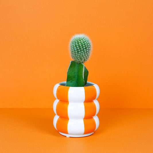 Floats Plant Pot