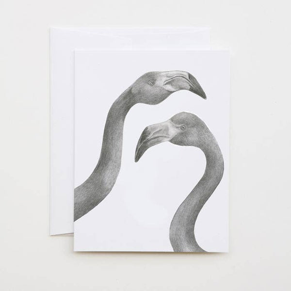 Iggy & Mags Hermano American Flamingo Cameo Money Card