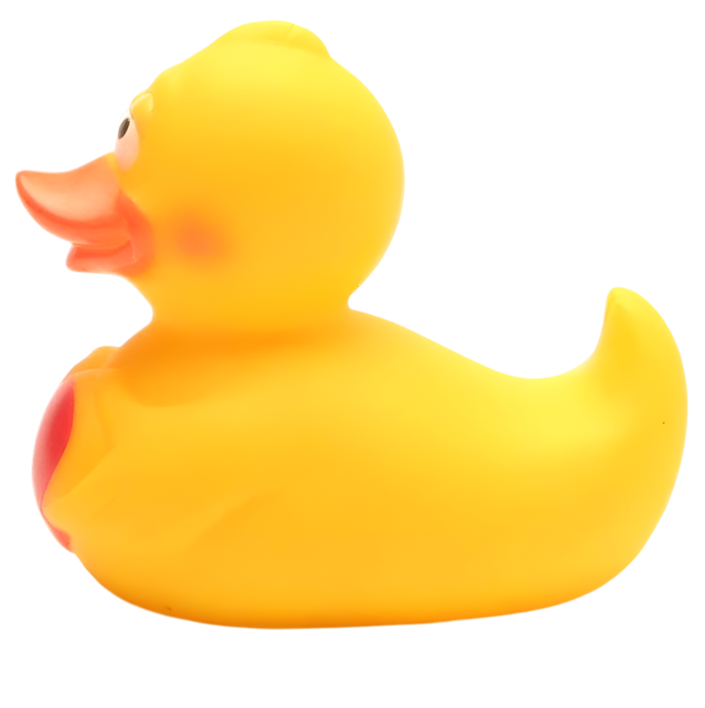 Duck with Heart