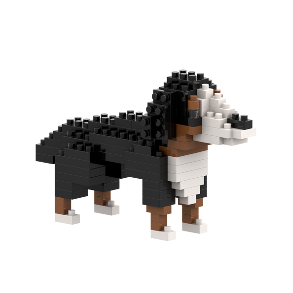 BRIXIES St. Bernard