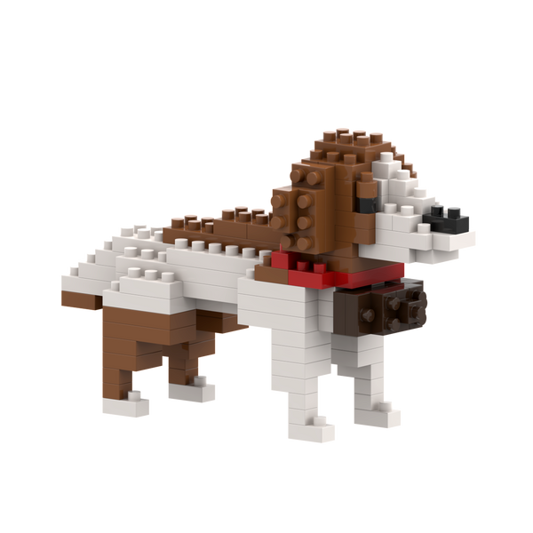 BRIXIES St. Bernard