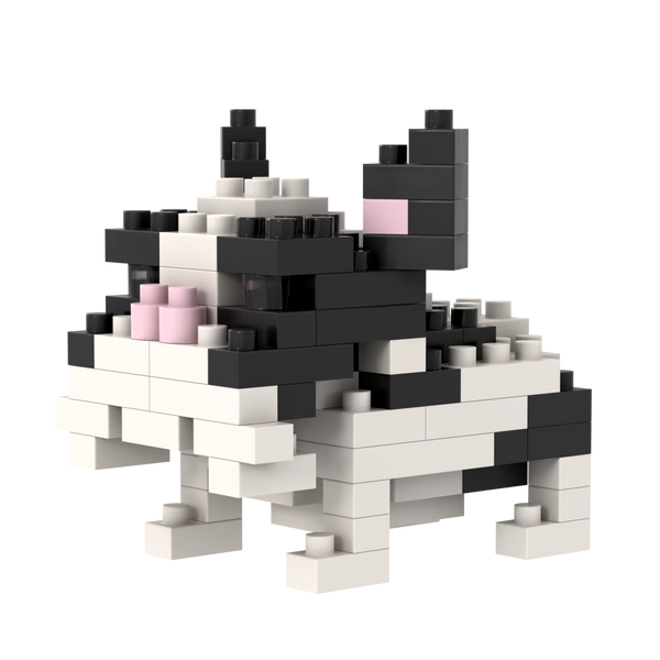 BRIXIES French Bulldog
