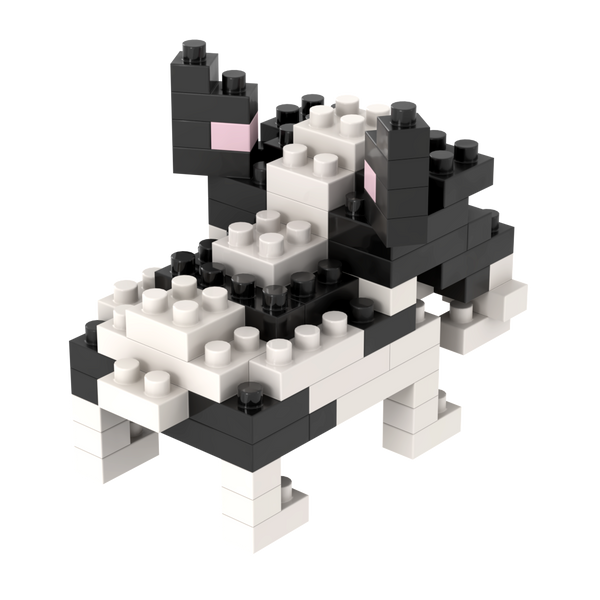 BRIXIES French Bulldog