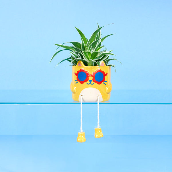 Pot de fleurs Cool Cat