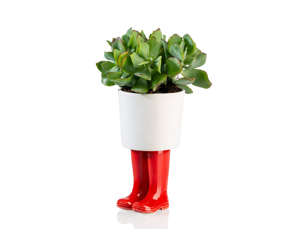Pot de Fleur Bottes Wellington Rouge – Grand – Bitten