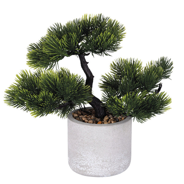 BONSAI PLANT H. 24 B - 2188537