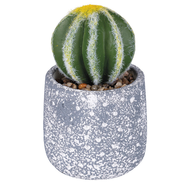 CACTUS PLANT H. 15CM - 2188538