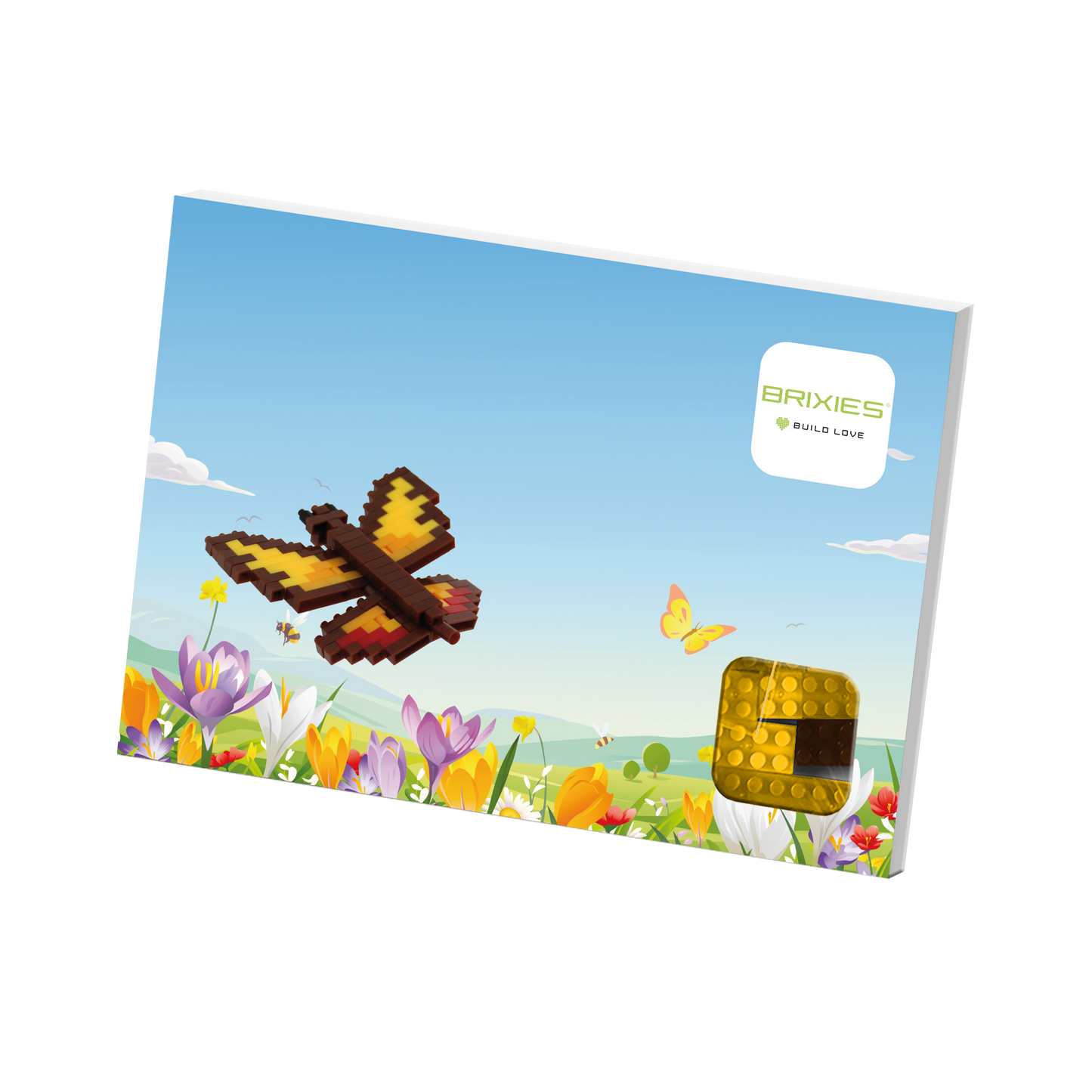 BRIXIES Butterfly Postcard