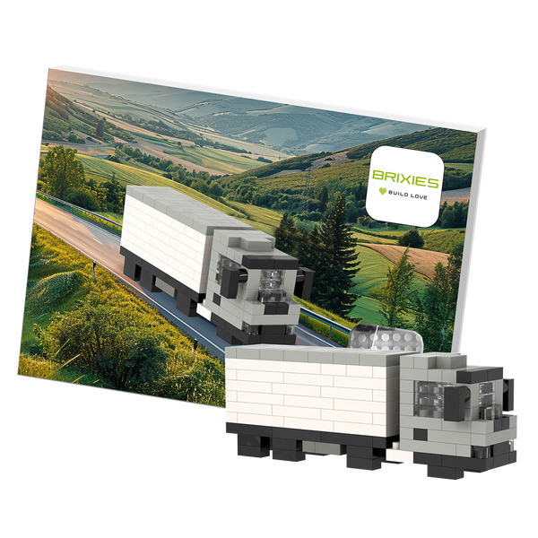 BRIXIES Lorry Postcard