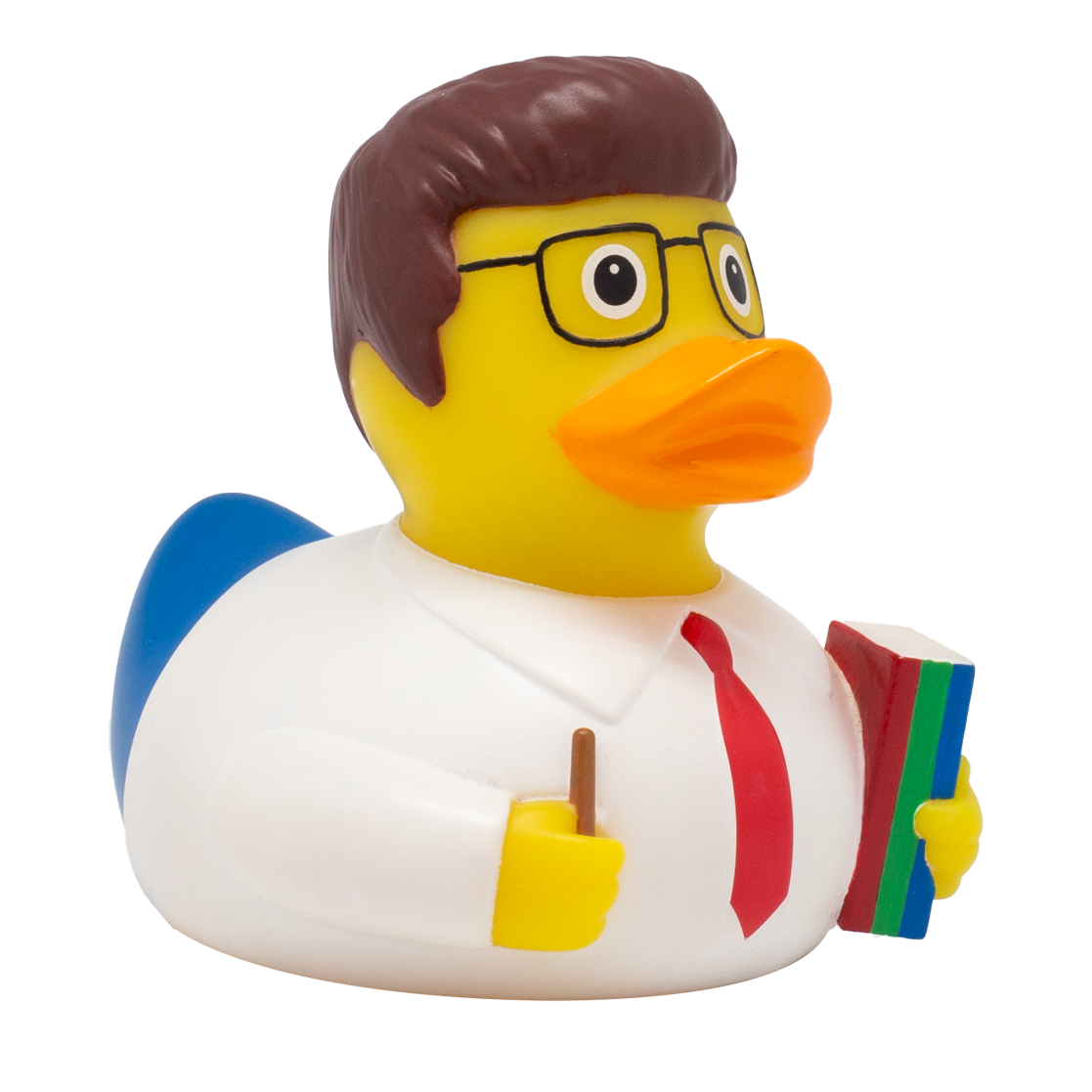 Schoolmaster Duck