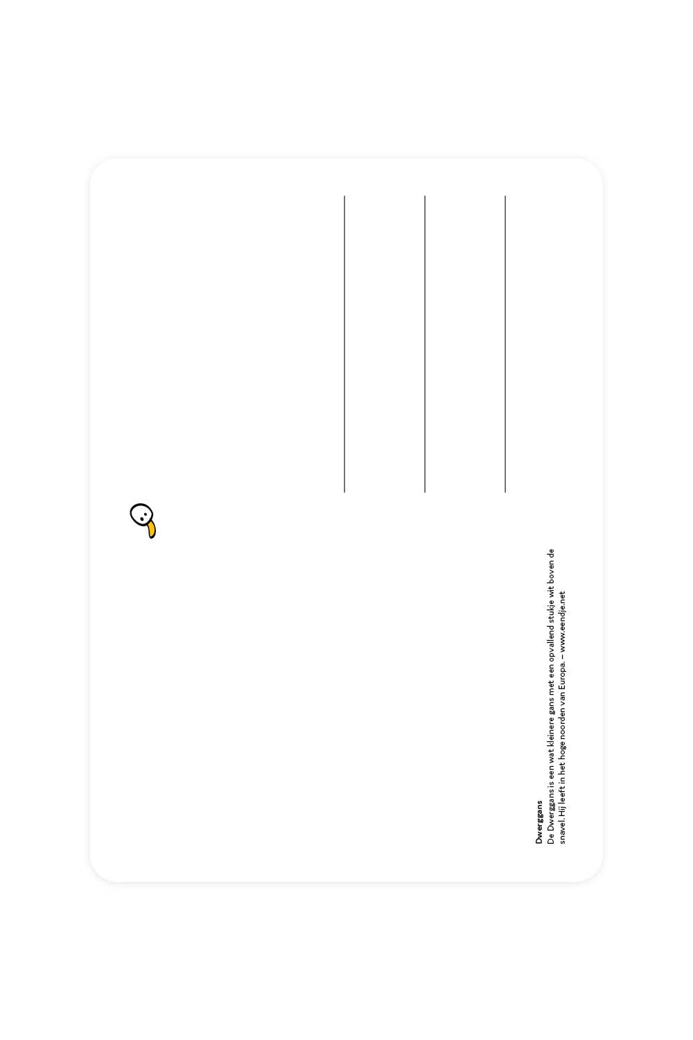 Carte postale avec l'oie naine