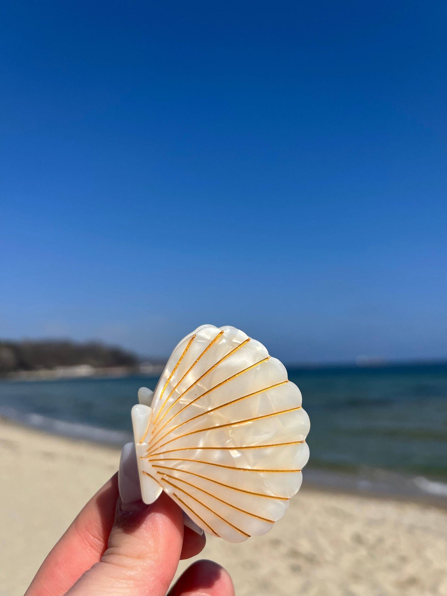 Pince à cheveux Coquillage violet pailleté