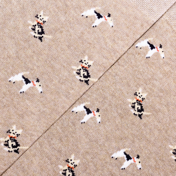 Pet Socks