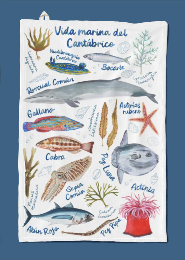 Cantabrian Sea Marine Life Tea Towel