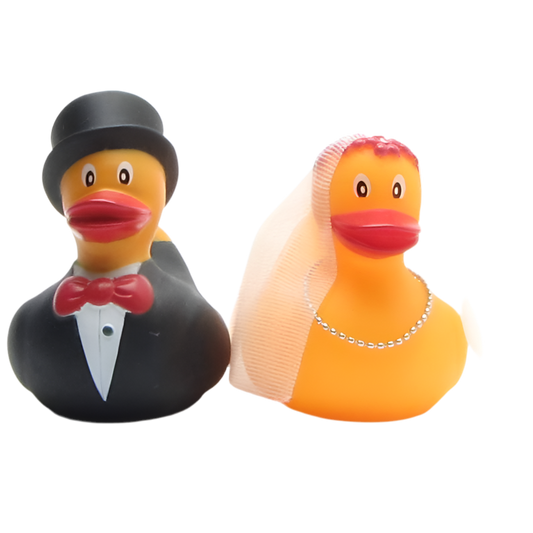 Married Duckling Couple