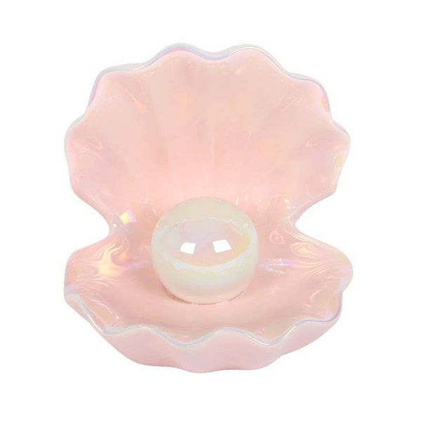 Trinket dish Iridescent seashell