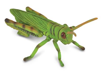 Collecta Insectes (M): SAUTERELLE 8.2x5.5cm