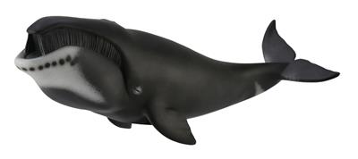Collecta Animaux marins (XL): BALEINE BORÉALE 22.3x10.9cm