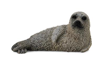 Collecta Animaux marins (S): PHOQUE LARGA CHIOT 5x2.4cm