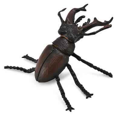 Collecta Insectes (M): LUCANIDAE (Coléoptère) 6.5x4.5cm