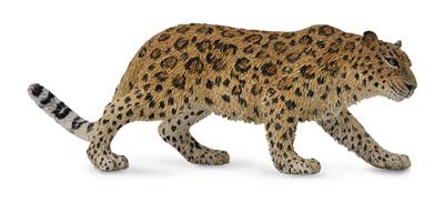 Collecta Animaux sauvages (XL): LÉOPARD DE L'AMOUR 13.5x5cm