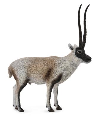 Collecta Animaux sauvages (L): ANTILOPE DU TIBET (Chirou) 8.6x10.5cm