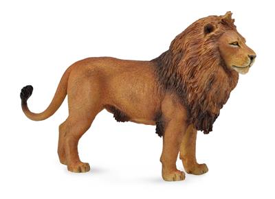 Collecta Animaux sauvages (L): LION AFRICAIN 14x9cm
