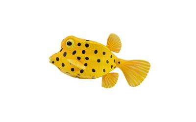 Collecta Animaux marins (S): POISSON COFFRE JAUNE 5.7x3.1cm