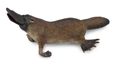 Collecta Animaux sauvages (M): ORNITHORYNQUE 9x4cm