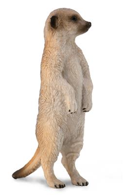 Collecta Animaux sauvages (S): SURICATE 2x6cm