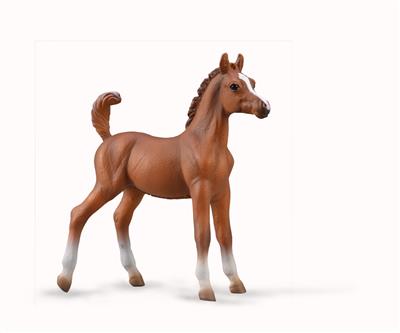 Collecta Chevaux (1:20 M): POULAIN ARABE marron 8,4x8,8cm