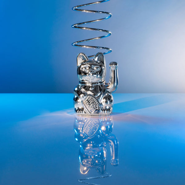 Lucky Bright Silver Cat "Nova"