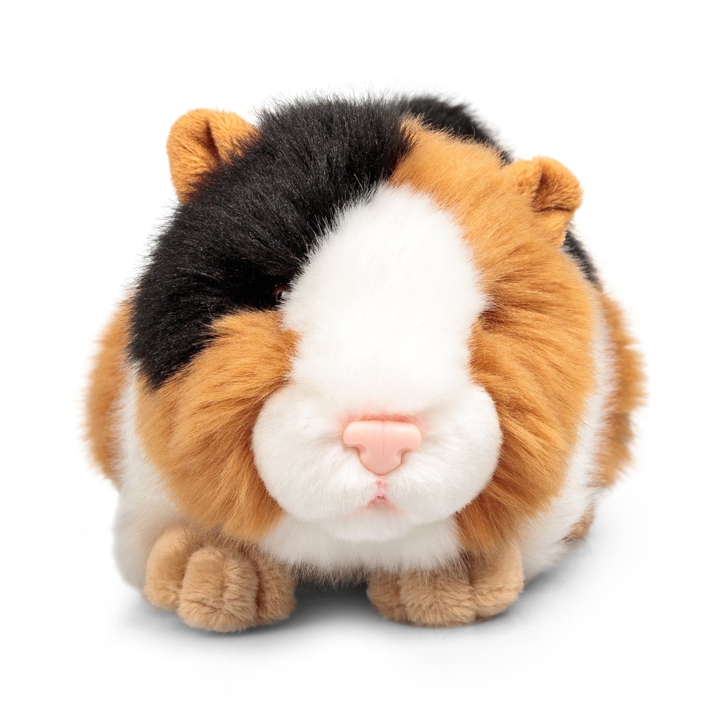 ANIMIGOS THE WORLD OF NATURE GUINEA PIG