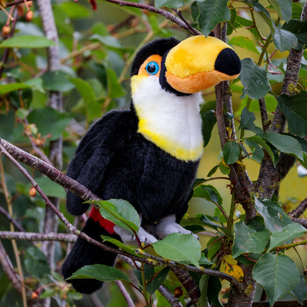 ANIMIGOS MONDE DE LA NATURE TOUCAN